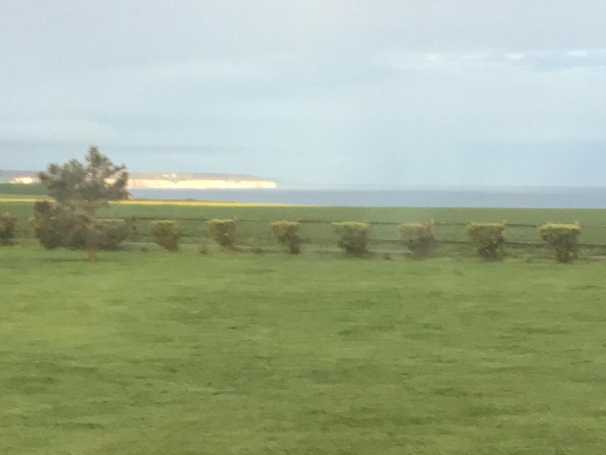 Villa Les Falaises Berneval-le-Grand Bagian luar foto