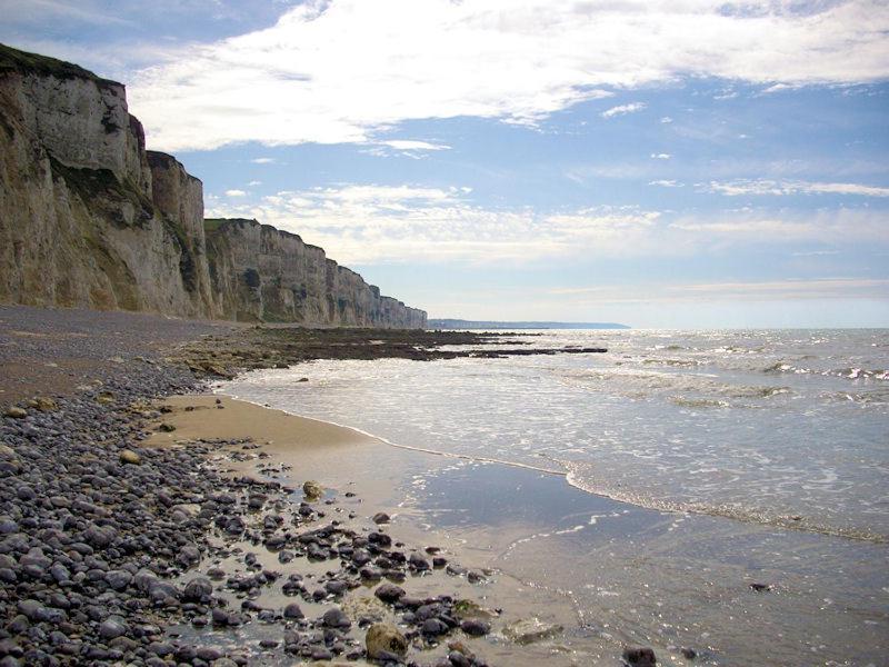 Villa Les Falaises Berneval-le-Grand Bagian luar foto